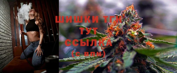 гидра Баксан