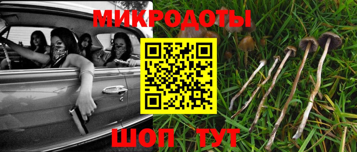 Меф мяу мяу Дальнегорск