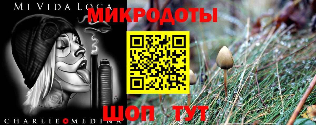 Галлюциногенные грибы Magic Shrooms  Дальнегорск  Галлюциногенные грибы Cubensis 