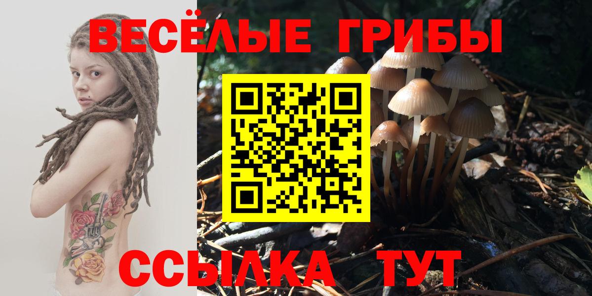 Галлюциногенные грибы прущие грибы Дальнегорск