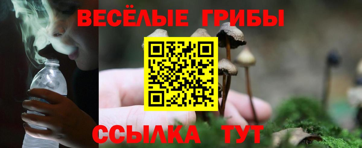 Псилоцибиновые грибы мухоморы Дальнегорск