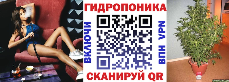 Конопля OG Kush  Дальнегорск 